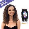 FREETRESS BRAIDS FreeTress Crochet Braids Boho Hippie Loc 12inch (3-pack, 2)