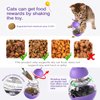 HYCNPTD Catnip Ball Interactive Cat Toy Pet Supply Swaying Slow Feeder Cat Bowl Indoor Treat Puzzle Toys