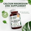 Natural Nutra Calcium Magnesium Zinc Supplement with Vitamin D3 for Bone Strength, Health, Gluten Free and Sugar-Free, Essential Mineral Complex, 250 Count (Pack of 1)