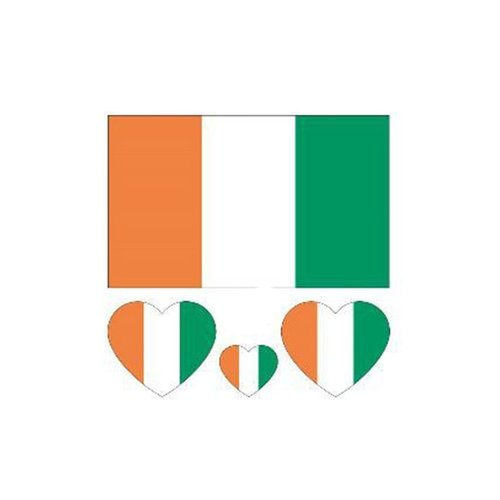 ZPDNURZL 10 Sheets Ireland Flag Tattoos Stickers 40 Pcs Waterproof Sweat Sports National Flag Removable Fake Tattoos