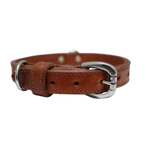 Genuine Top Grain Leather Padded Dog Collar | Handmade | Super Soft & Strong | Western Tooled Dog Collar | Brass & Stainless Steel Hardware | Dallas Collection by Angel Pet Supplies