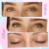 Lash Clusters Wispy Eyelash Clusters C Curl Individual Lashes zanlufly Natural 300Pcs Cluster Lashes Eyelash Extension 10 12 14MM DIY Lash Extension