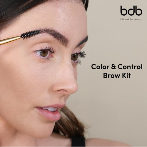 Color and Control Brow Kit (Raven)