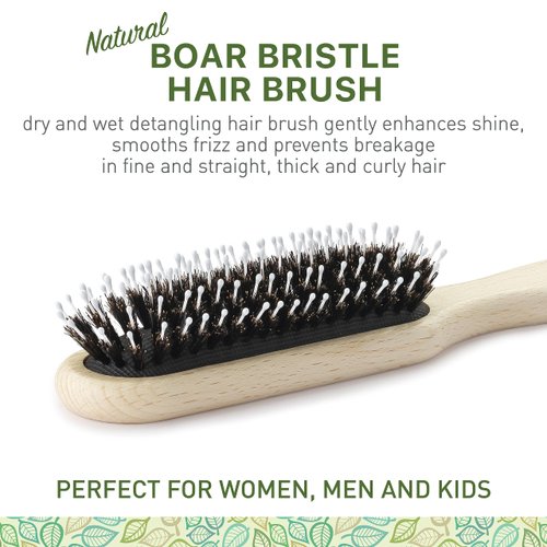 Natural Boar Bristle Hair Brush for Women, Men, Kids; Dry and Wet Detangling Hair Brush Gently Enhances Shine, Smooths Frizz and Prevents Breakage in Fine and Straight, Thick and Curly Hair (long)