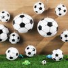 24 Pcs Inflatable Mini Soccer Balls Soccer Party Decorations Small Soccer Balls with Hanging Rope Hooks Summer Swimming Pool Beach Ball Water Games Blow up Sport Toys Beach Birthday Party Decorations