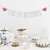 Silver Glitter I'm 20 Bitches Banner Happy 20th Birthday Banner Cheers to 20 Years Funny Birthday Theme Party Decorations