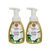 Griffin Remedy Foaming Hand Soap - Lemon Verbena Essential Oils and Organic MSM, Moisturizing, All-Natural, Paraben-Free 8 fl oz, 2 count