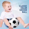 ZOOJOY 2 Pack Soccer Ball Size 3 for Kids, Outside Sport Soccer Ball Set for Boys Girls, Classic Design with Pump, Play Ball Toys & Gifts for Toddlers 2 3 4 5 6 7 8