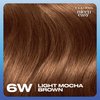 Clairol Nice'n Easy Permanent Hair Dye, 6W Light Mocha Brown Hair Color, Pack of 1