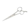 AAProTools 5.5" Hair Cutting Scissors Barber Shears - ICE Tempered Stainless Steel