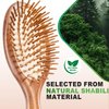 Beauntangly Hair Brush Set, Natural Bamboo Bristles Hairbrush for Hair Growth, Mini Brush for Women Men Kids Thick Curly Thin Long Short Wet Dry Hair No More Tangle, Detangling Massaging Scalp