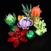 Kyglaring LED Lighting Kit Only Lights Set Designed for Lego Succulents 10309 Plant Decor Model Building Set - Without Lego Set (Classic Version)