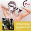 AUSGREER Black Hair Dye Shampoo 3 in 1 for Women & Men Gray Hair Coverage Hair Color Shampoo Hair Dye Shampoo 16.9Fl Oz(500ML)