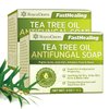 Roycederm Antifungal Antibacterial Tea Tree Soap: for Face & Body Acne, Athlete's Foot, Tinea, Folliculitis Ringworm Jock Itch - Pack of 2