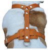 Genuine Leather Dog Harness, 33"-41" Chest, 1" Wide Straps Newfoundland, Great Dane