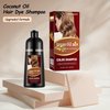 Black Hair Dye 16.9 Fl Oz, Argan Oil Natural Black Hair Shampoo, 3 in 1 Hair Dye Shampoo, Easy To Use, Semi-Permanent Hair Color Shampoo (Black)