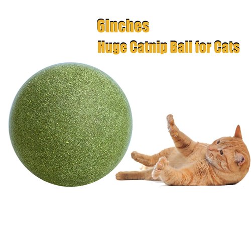 Generic Giant Catnip Ball,Huge Catnip Ball,Giant Cat Toys for Indoor Cats,Big Catnip Ball,Interactive Catnip Toy,Giant Catnip Ball with Stand, green