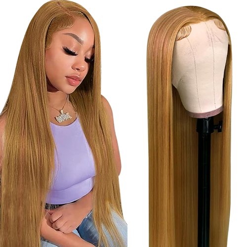 Slinsmei Light Brown Hair Lace Front Wig Long Straight Wig Natural Hair Heat Resistant Fiber Hair Synthetic Lace Front Wigs for Fashion Women 24 inch