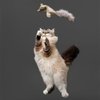 Playology Cat Toy Flying Squirrel | Fuzzy Plush Toy Flies Through The Air | Interactive Fun with Rubber Band Launch | Endless Entertainment for Cats