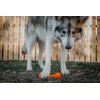 Jersey Dog Co. The Treat Bone Dog Chew Toy, Safe Dog Chew Toys, Made in USA Rubber-Free Dog Toy 7” Long, Orange