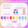 Macaron Happy Birthday Party Decorations for Women Girls, Pre-Strung Happy Birthday Banner, Balloons, Fringe Curtain, Tissue Paper Pom Poms, Circle Dot Garland, Hanging Swirls for Birthday Party