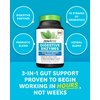 Zenwise Health Digestive Enzymes and Bromelain for Gut Health - Probiotic Multi Enzymes with Prebiotics and Probiotics for Women and Men for Digestive Health and Bloating Relief for Digestion -45 CT