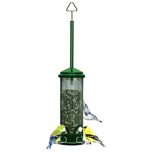 Squirrel Buster Mini Squirrel-proof Bird Feeder w/4 Metal Perches, 1.3lbs Seed Capacity, garden green