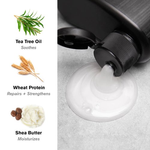 Every Man Jack 2-in-1 Daily Shampoo + Conditioner - Cedar and Red Sage | Nourishing For All Hair Types, Naturally Derived, Cruelty-Free Shampoo and Conditioner Set for Men | 24oz -1 Bottle