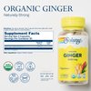 SOLARAY Organically Grown Ginger Root 540mg Healthy Cardiovascular, Digestive, Joint & Menstrual Cycle Support Vegan & Non-GMO 100 VegCaps