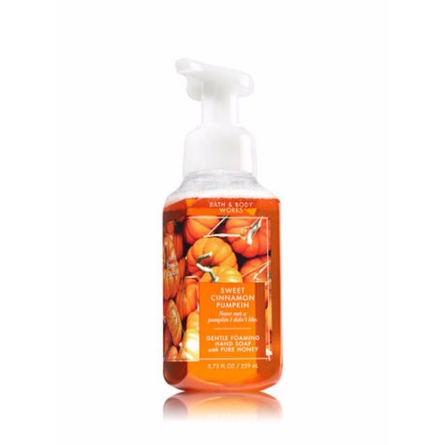 Bath & Body Works Gentle Foaming Hand Soap Sweet Cinnamon Pumpkin 2017
