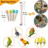 Bird Stand Perch Toy, Interactive Spinning Parakeet Toys, Wooden Exercise Wheel Parrot Toys, Enrichment Cockatiel Toys for Bird Cage, Bird Cage Accessories Perch Toy for Parakeets, Budgies, Lovebirds