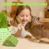 NSWXZDS 48PCS Rabbit Toys, Bunny Chews Timothy Hay Stick Guinea Pig Food, Hamster Toys for Teeth Grinding, Rabbit Alfalfa Treat, Rodent Molar Snack for Chinchilla Squirrel Gerbil Hedgehog Chipmunk