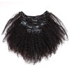 ZigZag Hair Afro Kinky Curly Clip In Human Hair Extensions Brazilian Virgin African American 4B 4C Clip in Hair Extensions Natural Clip Ins For Black Women (14inch, 4B 4C)