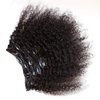 ZigZag Hair Afro Kinky Curly Clip In Human Hair Extensions Brazilian Virgin African American 4B 4C Clip in Hair Extensions Natural Clip Ins For Black Women (10inch, 3B 3C)