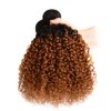 22 24 26 inch Brown Human Hair Bundles Ombre Human Hair Bundles 1b/30 Kinky Curly Bundles Two Tone Black Roots to Brown Bundle Human Hair Extensions