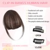 Cesomeey Clip in Bangs 100% Real Human Hair, Wispy Bangs Hair Clip, Hair Bangs Clip in Human Hair, Fake Bangs Fringe with Temples Hairpieces, Clip on Bangs for Women Daily (Medium Brown, Wispy Bangs)
