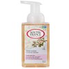 SOUTH OF FRANCE NATURAL BODY CARE Foaming Hand Soap 8oz - Foam Hand Wash (Cherry Blossom, 1 Bottle)