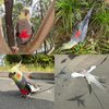 VANFAVORI Bird Harness with Buckle Clip and A Leash, Easy to Wear Training Kit for Bird Parrots Cockatiel S Size Weight 85-105 Grams,Red
