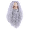 BERON Mens Wigs and Beard Long Gray Grey Wizard Wig and Beard Cosplay Halloween Costume Wig