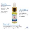 Rx Systems PF Reparative Eye Serum - Vegan Formula with 8 different Peptides, Plant Extracts & No Fillers, Paraben, or Silicone! Eye Cream for Puffiness and Bags Under Eyes - Under Eye Serum