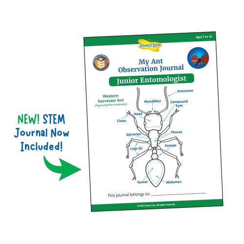 Insect Lore Ant Hill | Ant Habitat with Voucher to Redeem Live Western Harvester Ants | STEM Learning and Education Toy