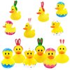 The Dreidel Company Happy Easter Rubber Duck Toy Bunny Rabbit Duckies for Kids Easter Eggs, Bath Birthday Gifts Baby Showers Summer Beach and Pool Activity, 2" (12-Pack)