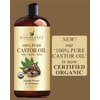 Handcraft Blends Organic Castor Oil - 16 Fl Oz - 100% Pure and Natural - Premium Grade Oil for Hair Growth, Eyelashes and Eyebrows - Carrier Oil - Hair and Body Oil - Expeller-Pressed and Hexane-Free