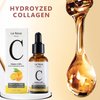 Le Nova Vitamin C Face Serum Skin Care - Anti Aging With Hyaluronic Acid,Ferulic Acid, Brightening Serum