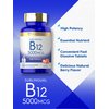 Carlyle Vitamin B12 5000mcg | 250 Fast Dissolve Tablets | Natural Berry Flavor | Vegetarian, Non-GMO, Gluten Free