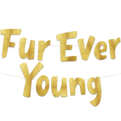 Furever Young Gold Glitter Banner – Dog Birthday Banner – Cat Birthday Decorations – Funny Puppy ...