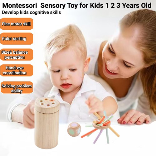 Montessori toys for 1 2 3 year old, Wooden Sensory Toy for Toddler 1-3, Infant Babies 6-12 month, Fine Motor Skill, Color Stick Sorting& Stacking Game, Preschool Learning Activity, Gift for Boy& Girl