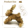 JKW Pet Dog Toys, Plush & Stuffed Rabbit Toys, Squeaky Puppy Cute Toys, Small & Medium Dog Chew Toy, 8.5 Inch