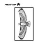 INKARTLINK Temporary Tattoos, Semi Permanent Tattoos Adult Art Designs Waterproof Temporary Tattoos Party Favors Tattoo Stickers Realistic, No Adhesive, Lasts 1-2 Weeks (Eagle with wings spread)