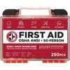 Be Smart Get Prepared First Aid Kit, 250 Piece. Exceeds OSHA ANSI Standards for Office, Home, Car, School, Emergency, Survival, Camping, Hunting, & Sports. FSA HSA